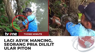 PANIK Seorang Pria Terlilit Ular Piton saat Tengah Mancing di Sungai  tvOne Minute [upl. by Niriam]