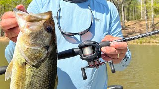 3 Month Review Lews Custom Lite Rod Review [upl. by Euv]