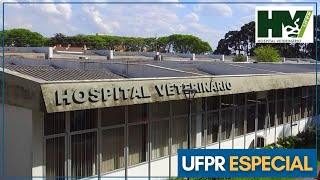 Hospital Veterinário UFPR em Curitiba [upl. by Williamson]