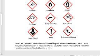 CTC 110 Language More About GHS Labels Pictograms and Terminology Part 3 [upl. by Cyb]