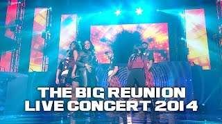 ETERNAL  STAY THE BIG REUNION LIVE CONCERT 2014 [upl. by Sanyu]