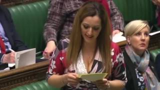 Tasmina AhmedSheikh MP speaks in Article 50 debate 6th October 2017 [upl. by Aihtyc17]