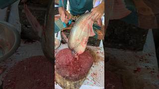 How to Cut Up a Pangas Fish Into Pieces 😱😱 shorts [upl. by Ahsitul417]