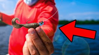 This is The EASIEST Way to Catch a TON of Saltwater Fish [upl. by Raddy]