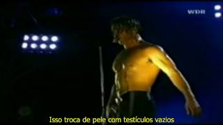 Rammstein  Laichzeit Ao Vivo  Legendado Português BR [upl. by Che]