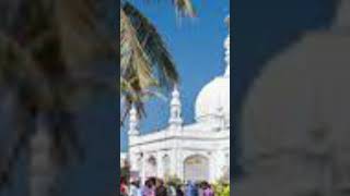 Main Hun Haji Ali ka Deewana  short  video  haji Ali song [upl. by Wylde85]