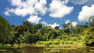 Taliwas Lake of Sabah [upl. by Hiett270]