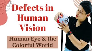 Defects in Human Vision  Human Eye and the Colourful World  Class 10 Science  NCERT [upl. by Faso391]