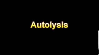 What Is The Definition Of Autolysis Medical Dictionary Free Online [upl. by Rap]