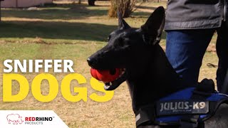 How Sniffer Dogs Are Trained  Dogs  Endangered Wildlife Trust [upl. by Airamat78]