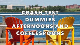 Crash Test Dummies  Afternoons and Coffeespoons with Lyrics [upl. by Palumbo]