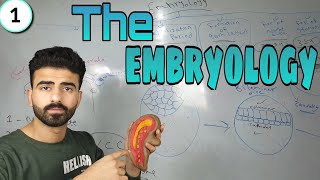 embryology 1  oral histology  عزت شومان [upl. by Ahseen]