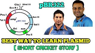 EASY WAY TO LEARN PLASMID AS CLONING VECTOR HINDI   SHORT STORY OF CRICKET [upl. by Fran]