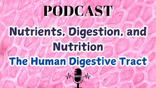 Nutrients Digestion and Nutrition The Human Digestive Tract [upl. by Adirf303]