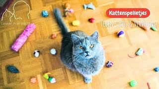 Katten spelletjes  zodat de kat zich niet verveelt [upl. by Ayal]