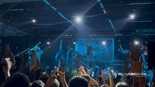 EVERGREY quotKing of errorsquot Live in Mexico City 2024 [upl. by Nirol]