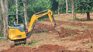 LiuGong 9027F ZTS Mini Excavator Timelapse video of Working in a Coffee plantation liugong mini [upl. by Navnod944]