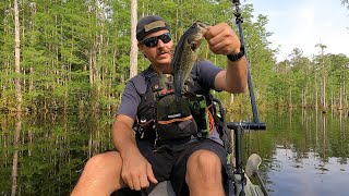 kayak bass fishing [upl. by Yoshiko]