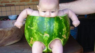 Funniest Moments When Baby Eating Food  Funny Baby Videos [upl. by Viddah995]