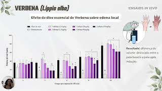 Avaliação do efeito antinociceptivo e antiinflamatório do óleo essencial de verbena Lippia alba [upl. by Akselav433]