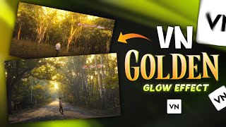 Trending Golden Glow Effect Reels Video Editing In Vn App  Aesthetic Video Glow Effect In Vn App [upl. by Reni584]