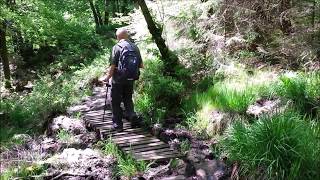 Ardennen  wandelen in de vallei van de Hoëgne [upl. by Averat]