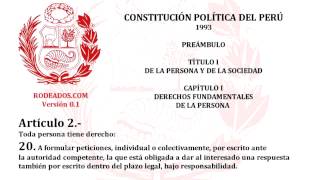 Titulo I Capitulo I  Constitucion Politica del Peru [upl. by Bullis]