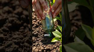 ¡Cómo Hacer un Riego Eficiente para tus Plantas 💧🌿 Mejora su Salud y Ahorra Agua [upl. by Kentigera]