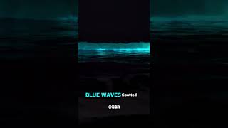 bioluminescence in Chennai ECR bluewaves bioluminescence trendingshorts beachvibes [upl. by Sharline373]