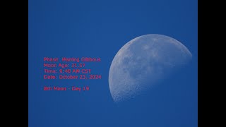 Waning Gibbous Moon  Age 2157  October 23 2024  940 PM CST 8th Moon Day 19 [upl. by Strauss]