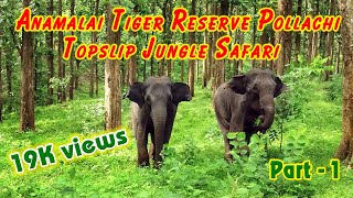 TOPSLIP JUNGLE SAFARI PART 1  Anamalai Tiger Reserve Nature Lover [upl. by Llezo]