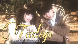 Tadap  Full Song  SlowedReverb New Songs 2024 [upl. by Lihkin]