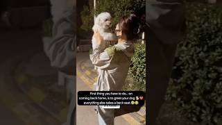 This is so Cute☺️😁 trending funny doglover dog tiktok fyp [upl. by Ibbed]