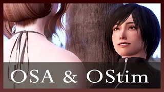 OSA and OStim NG Installation Guide [upl. by Nroht696]