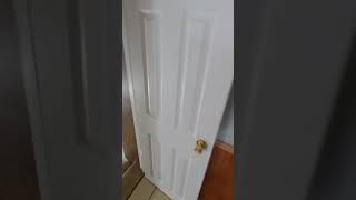 Spacious Newly Updated Home for Rent in Mt Washington  301 Boggs Ave Pittsburgh PA 15211 [upl. by Latty710]