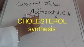 Biochemistry lipid cholesterol synthesisbiochemistry cyclesmetabolism of lipidscholesterol metab [upl. by Newhall]