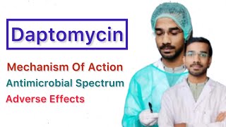 Daptomycin  Mechanisms of action  Antimicrobial spectrum  Adverse Effects [upl. by Essila743]