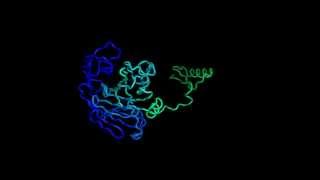 Summer Training for Bioinformatics How to Model Proteins [upl. by Aubry994]