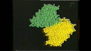 BioBits Programma 29 Blok 58 RNA en DNA bij prokaryoten deel 2 [upl. by Shel]