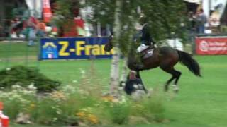 ♂ Qlipper du Banco jumping stallion SF by Loutano [upl. by Obau]