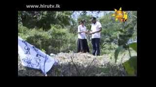 ADISI RE DHAHAYA EP 39 [upl. by Particia]