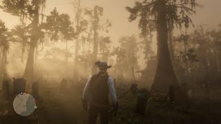 Red Dead Redemption 2 in chapter 4 theres 2 lockboxes at edge of camp plus large jewellery bag Rdr2 [upl. by Refinaj249]