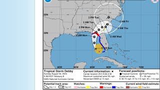 Hurricane Debby Live from St Simons Island [upl. by Izabel675]