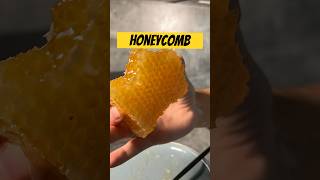 Fresh Honeycomb is Worth the Hype honeycomb animalbased carnivore [upl. by Lemraj877]