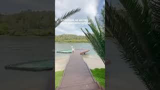 29 Cooran Court Noosa Heads QLD 4567 luxuryrealestate waterfrontproperty luxuryhomes [upl. by Barrett]