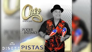 Cheo Andujar  Día Tras Día Audio Oficial  Salsa Romántica [upl. by Araldo]