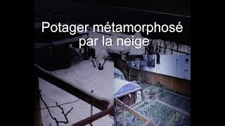 Neige à Brignoles La métamorphose dun jardin potager sous la neige LC VIDEO [upl. by Ahsitak345]