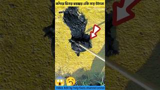 কাঁদার ভিতর একি নড়ে উঠলো 🥱tortoise tools item amp amazing fact youtubeshorts shorts [upl. by Aihk]