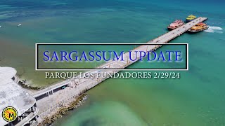 4K Sargassum Seaweed UPDATE 22924  Playa del Carmen Mexico  3 Different Views [upl. by Catt]