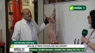 KASAPLARDA OĞLAK ETİ SATIŞI VE OĞLAK ETİ HAKKINDA BİLGİLER PART 2 [upl. by Groveman504]